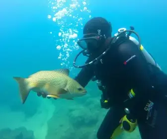 mergulho em Salvador